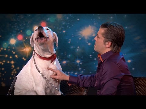 Pes zazpíval Whitney Houston v belgitské televizní show